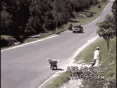 Пикап с кучей людей