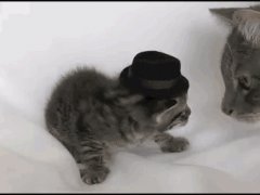 Модный прикид