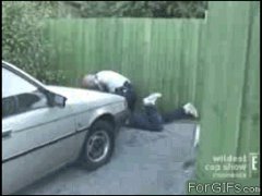 Лицо из забора