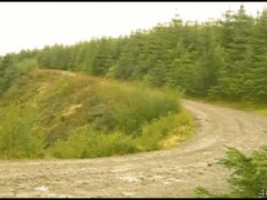 Занос на лесной дороге