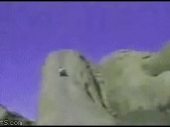 Джип не справился с управлением