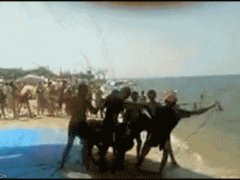 Запуск ослика