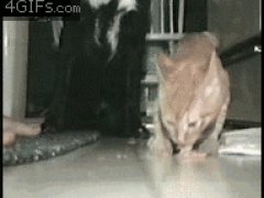Отстань от меня!
