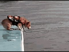Прикольно поджимает ноги