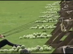 Арбуз вернулся