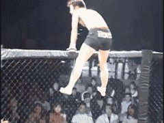 Неожиданный конец бою