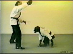 Обезьянка - каратистка
