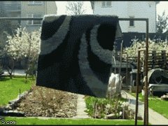 Нинзя в ковре