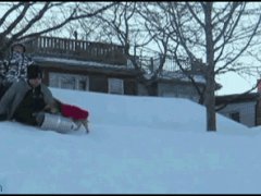 Отняла сани и уехала сама