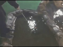 Гольф на воде