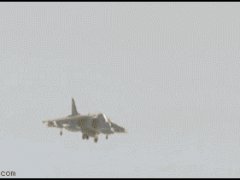 Кораблекрушение при посадке