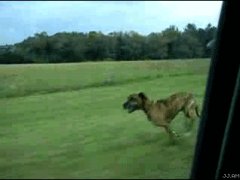 Настоящая любовь!