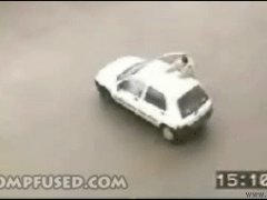 Милицейская собака и человек
