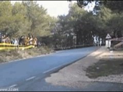Дерево спасло жизнь