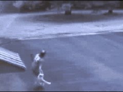 Спасатель животных