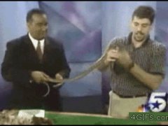 Лягушка на ведущем
