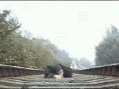 Проверка на храбрость