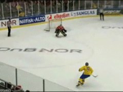 Красивейший гол в хоккее