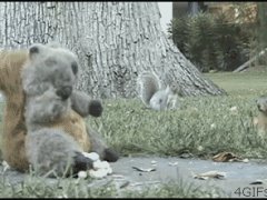 Белка и плюшевый медвежонок