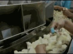 Жизнь в инкубаторе