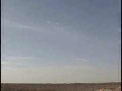Взрывной гриб