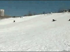 Сбило репортера