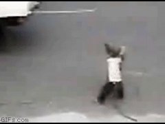 Мартышка на велике