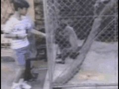 Ответ на издевательство