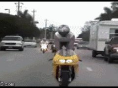 Не устоял на мотоцикле