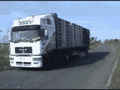 Улетающие птицы