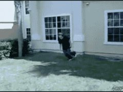 Подобное случается часто