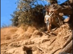 Не долетела до воды