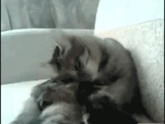 Неуправляемые ноги