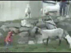 Боднул ребенка