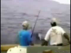 Слишком большая рыба