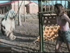 Собачка на качелях
