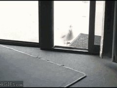 Растерялась от воровства
