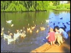 Достала из пруда