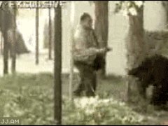 Спрятался за деревом