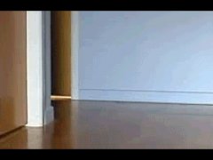 Скользящие кошки
