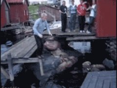 На радость друзьям