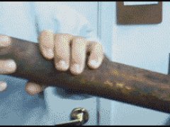 Спасение любопытного котенка
