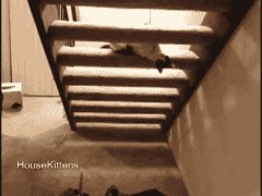 Альпинизм на лестнице