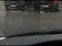 Качающаяся на дворнике