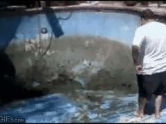 Осторожность не спасла