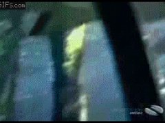Рыба вписалась