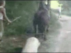 Ответ на жестокость