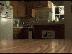 Угощение для кошки