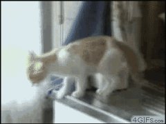 Провалилась в ведро