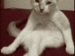 Сидящая со скрещеными ногами